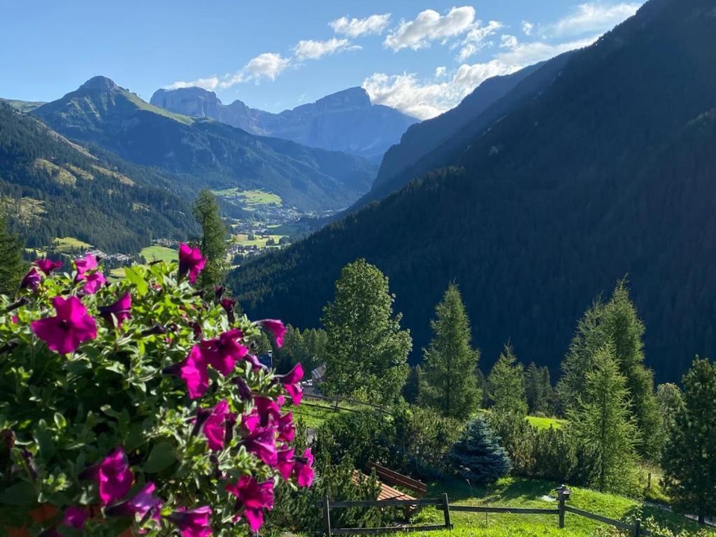 Chalet Relax Поца ди Фаса Екстериор снимка
