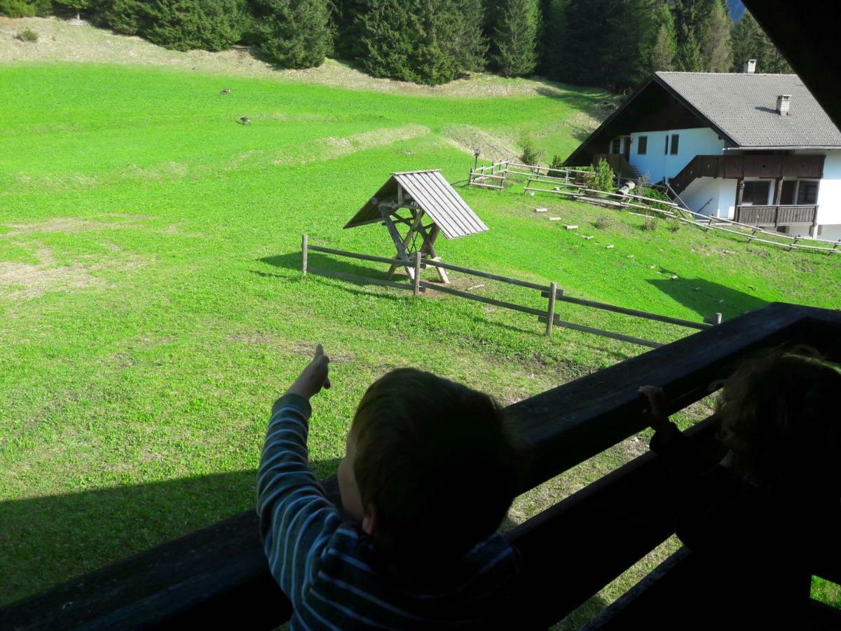Chalet Relax Поца ди Фаса Екстериор снимка